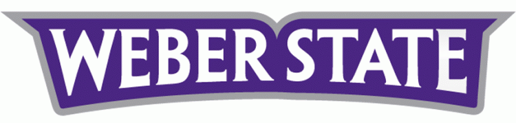 Weber State Wildcats 2012-Pres Wordmark Logo diy fabric transfer